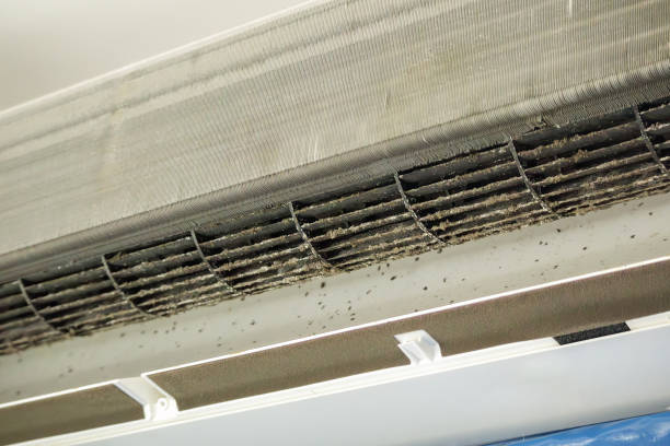 Best Affordable Duct Cleaning Services  in St Paul, NE